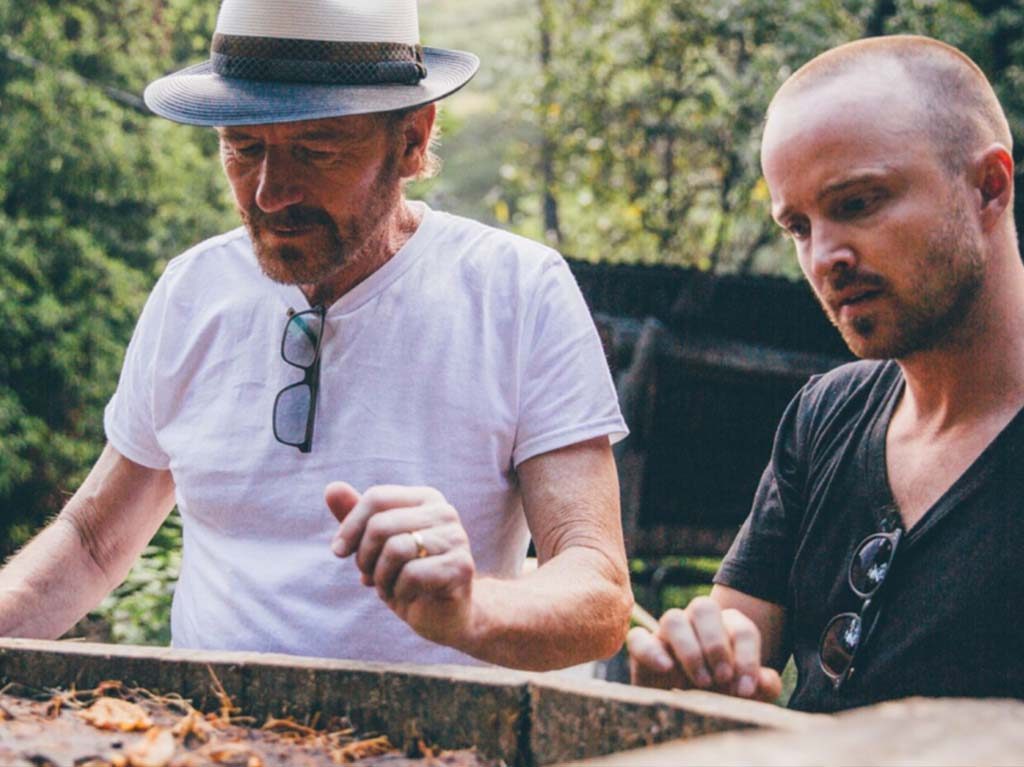 brian cranston aaron paul mezcal