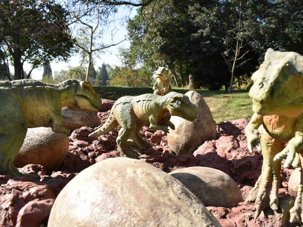 Vive las noches mágicas con dinosaurios en Xochitla | Dónde Ir