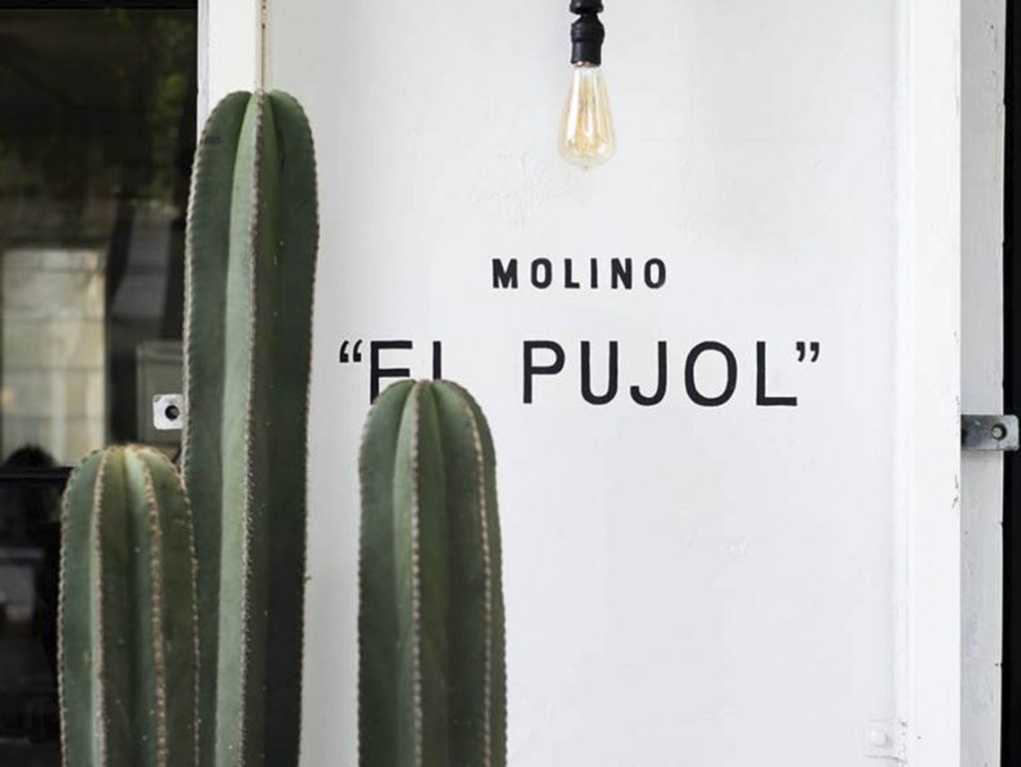 molino pujol