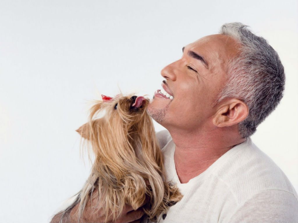 Tu perro podrá ser parte del show de César Millán en CDMX