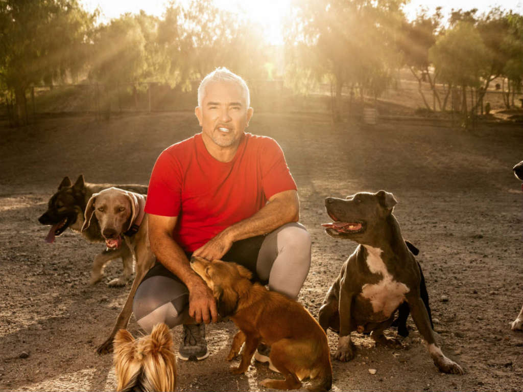 show de César Millán el entrenador de perros 