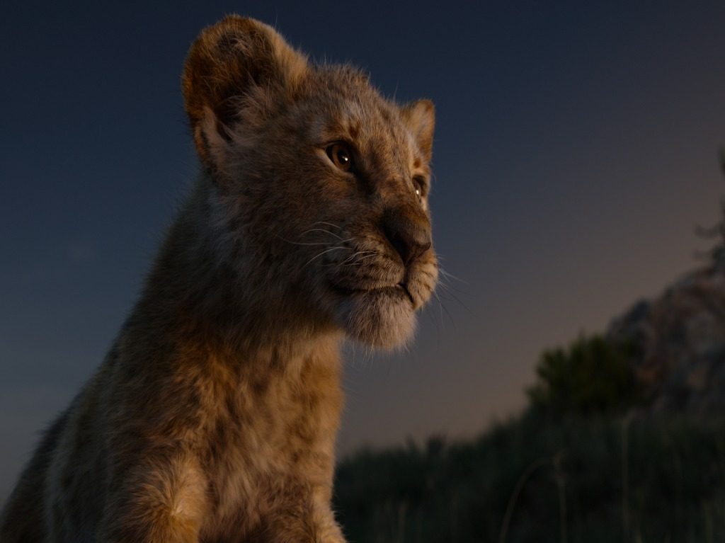 Simba en la nueva película de El rey león