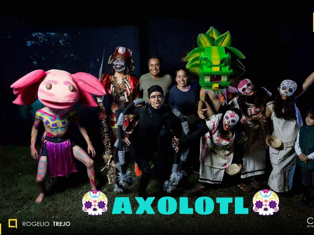 Axolotl en Xochimilco