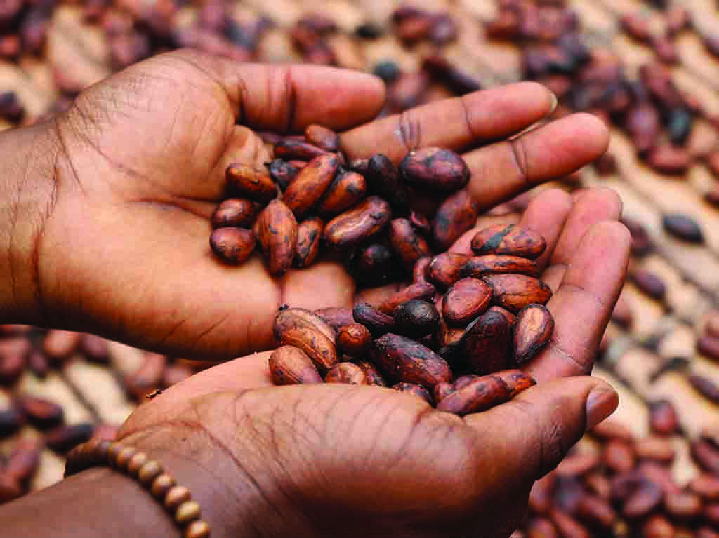 Asiste a una experiencia sensorial y deliciosa en ‘El Sonido del Cacao’