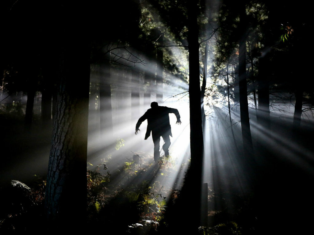 Campamento cinematográfico de terror en agosto