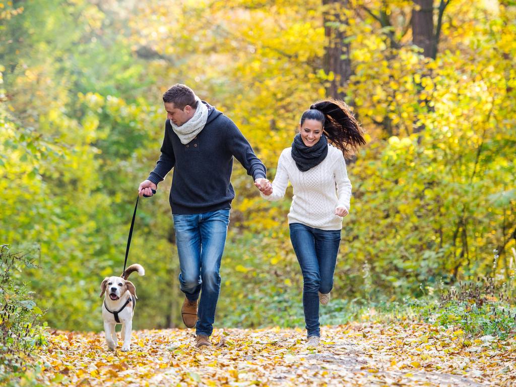 Carrera-Caminata Terra Máxima, corre con tus perros
