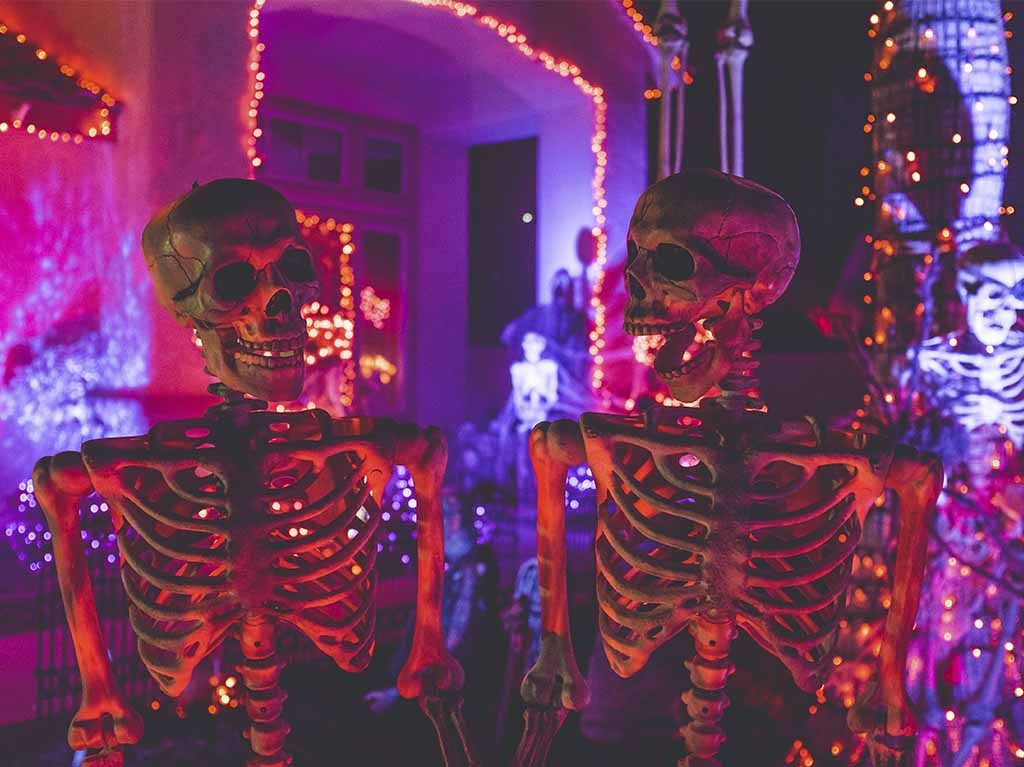 Carrera de día de muertos