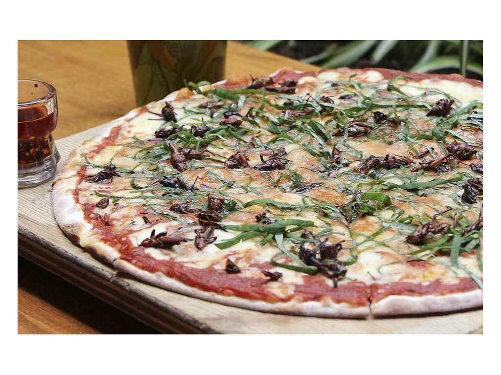 Las mejores pizzas estilo romanas en CDMX 4