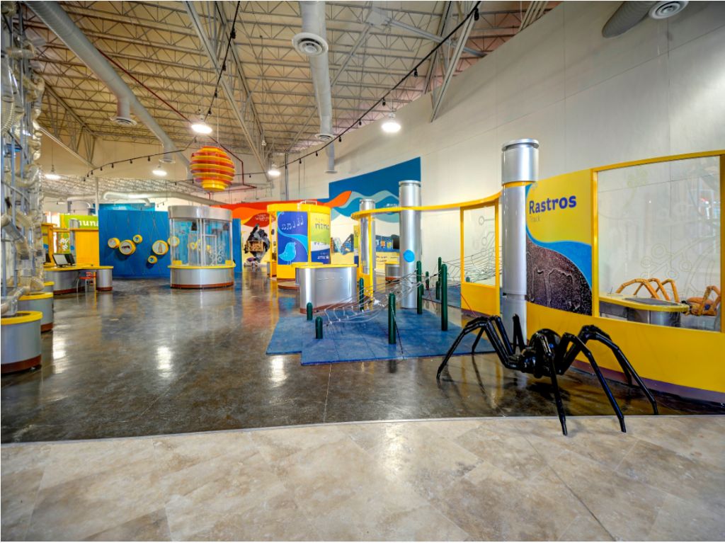 conoce-a-alan-en-museo-la-rodada