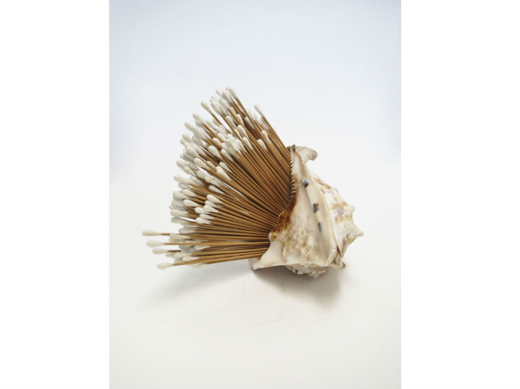 exposicion-virgnia-perez-ratton-muac-i