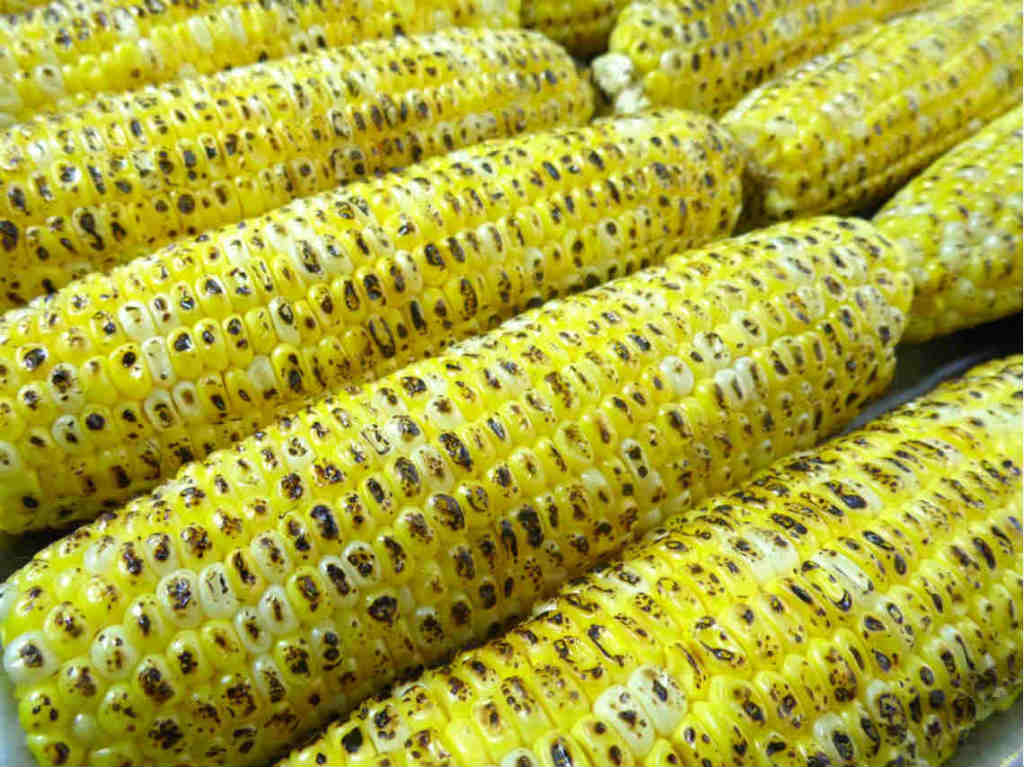 Feria del Elote y el Maíz elotes