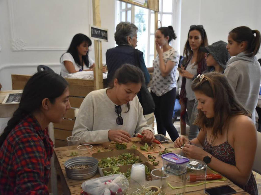 pacha-bazar-taller-de-herbolaria