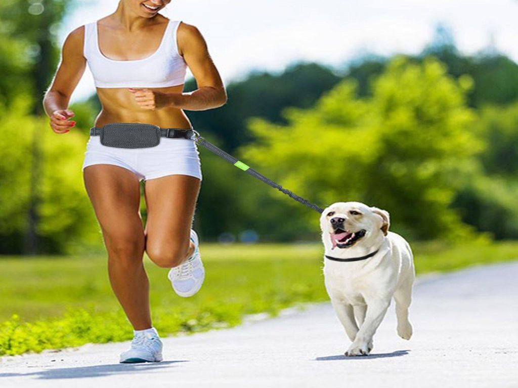 Ejercítate con tu perro en la 4ta carrera y caminata en CU 1