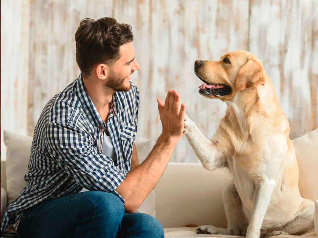 Tener una mascota te hace más atractivo