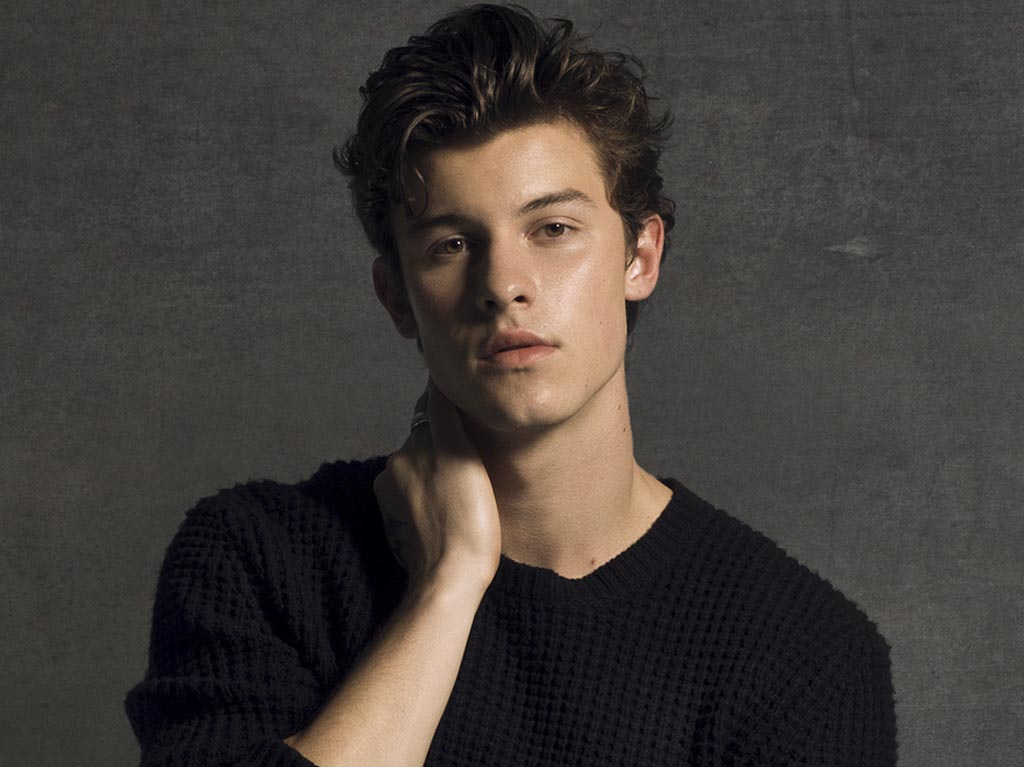 Conciertos de diciembre 2019 en CDMX: Shawn Mendes y más