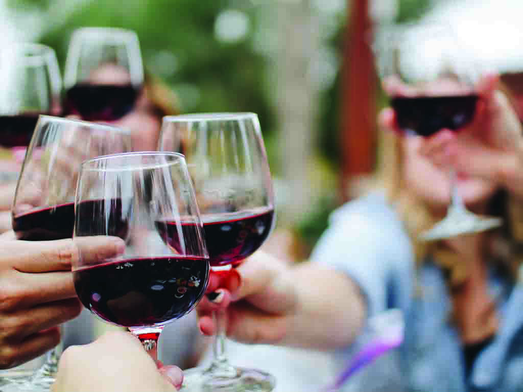 Festival de vinos del mundo: Vive un día gourmet en Xochitla