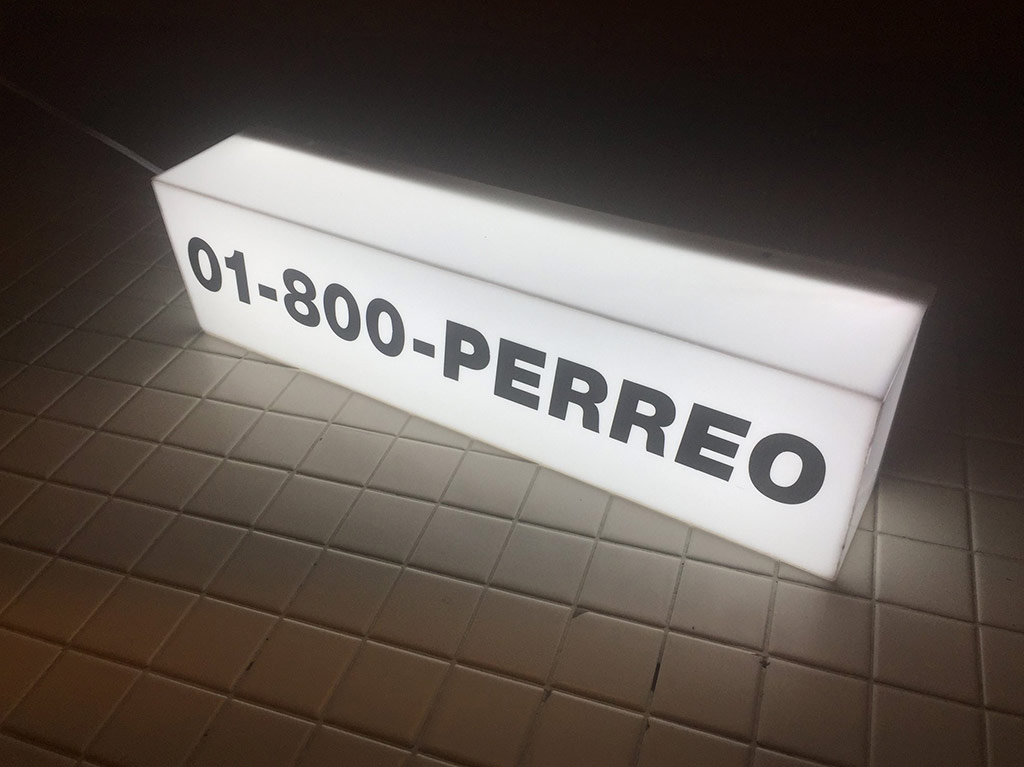 01-800-PERREO
