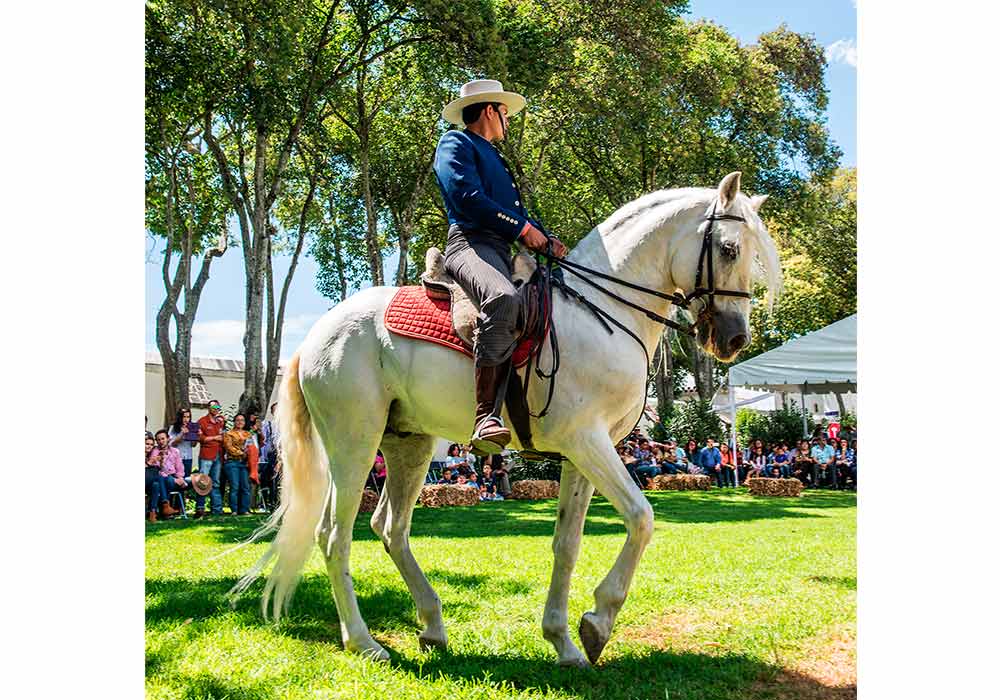 Quinta edición del Festival Maridando México ¡No te lo pierdas!