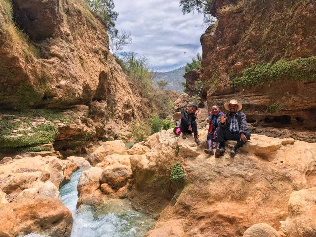 Airbnb & rutopía flora y fauna