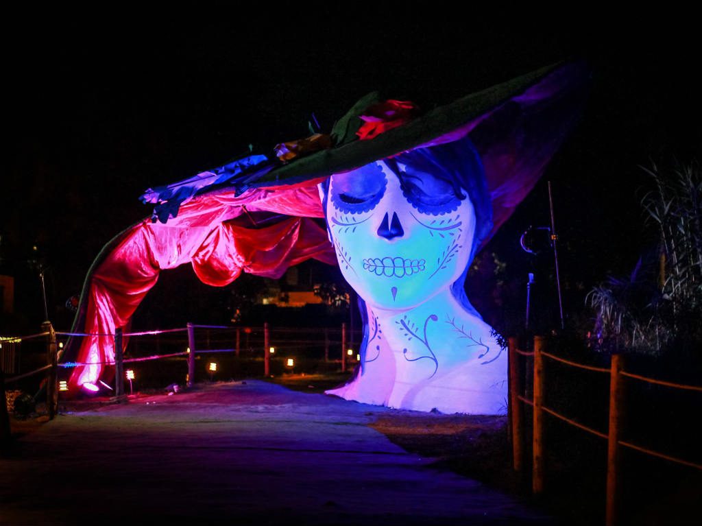 Calaverandia 2019 espectáculo de luces