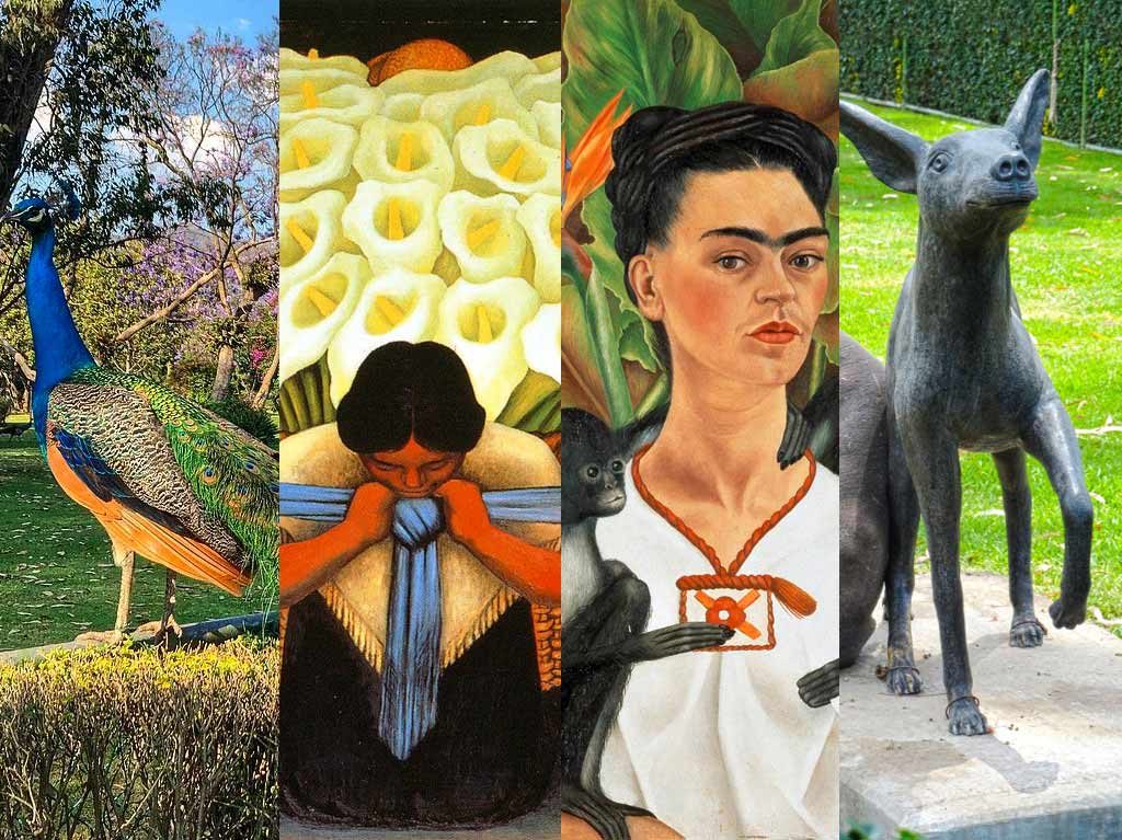 Pavorreales, xolos y pinturas de Diego y Frida.