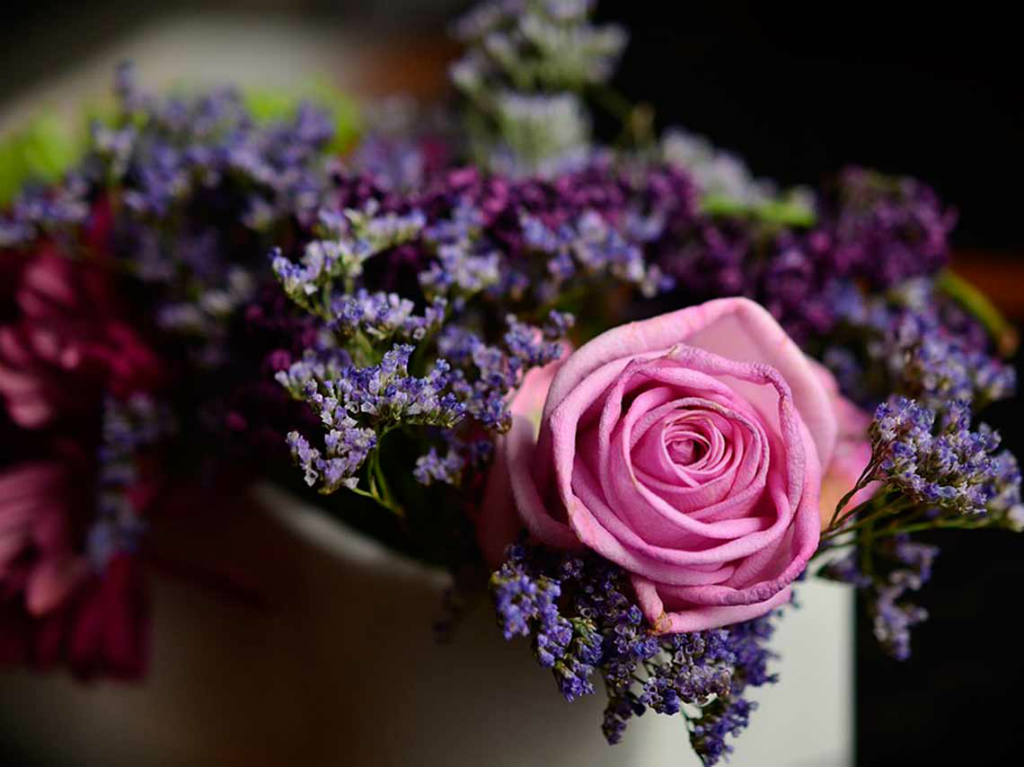 Festival de las Flores venta de flores