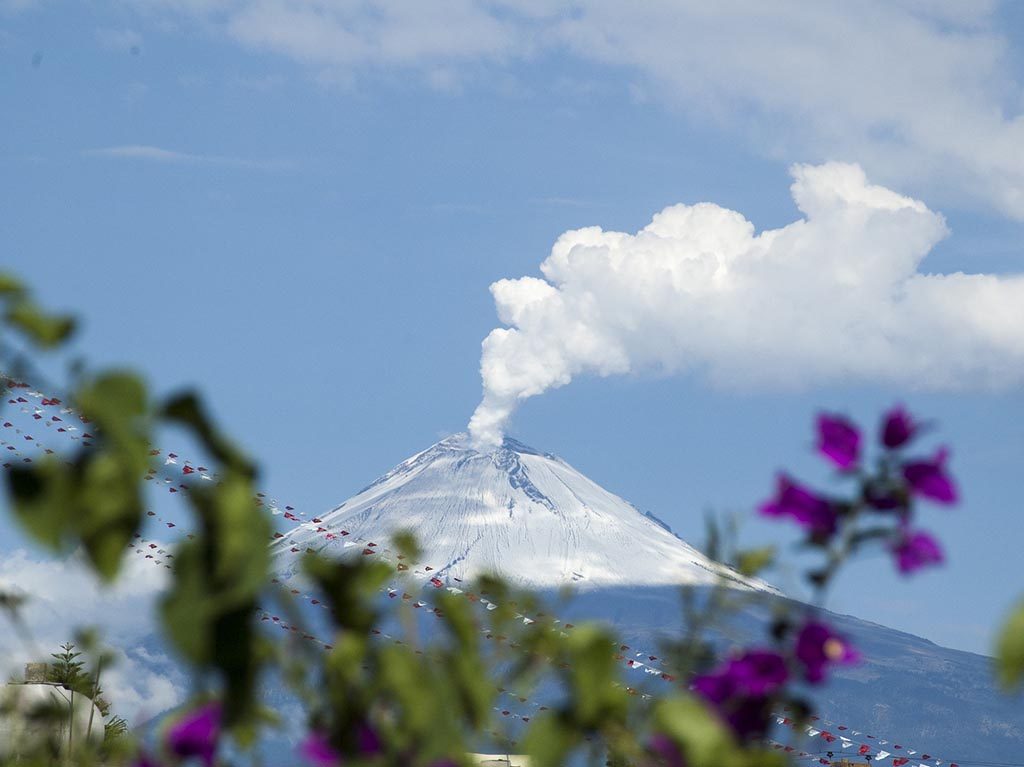 Festivales Volcanes y Mezcal