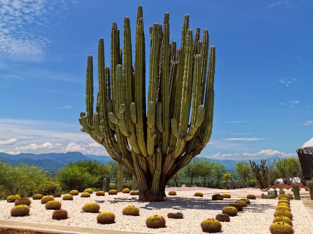 Jardines de México: un paraíso temático en Morelos 3