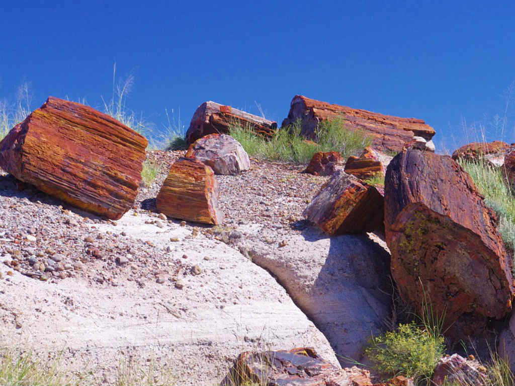 Museo del Ópalo y Minerales piedras