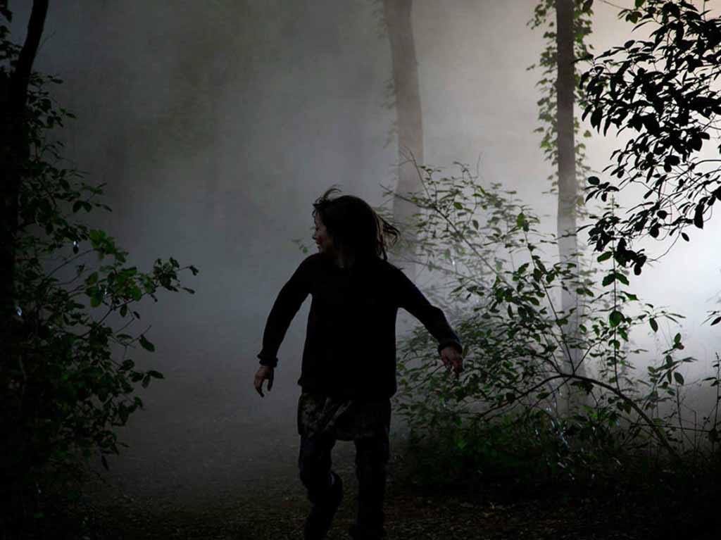 Campamento cinematográfico de horror en la isla de las muñecas