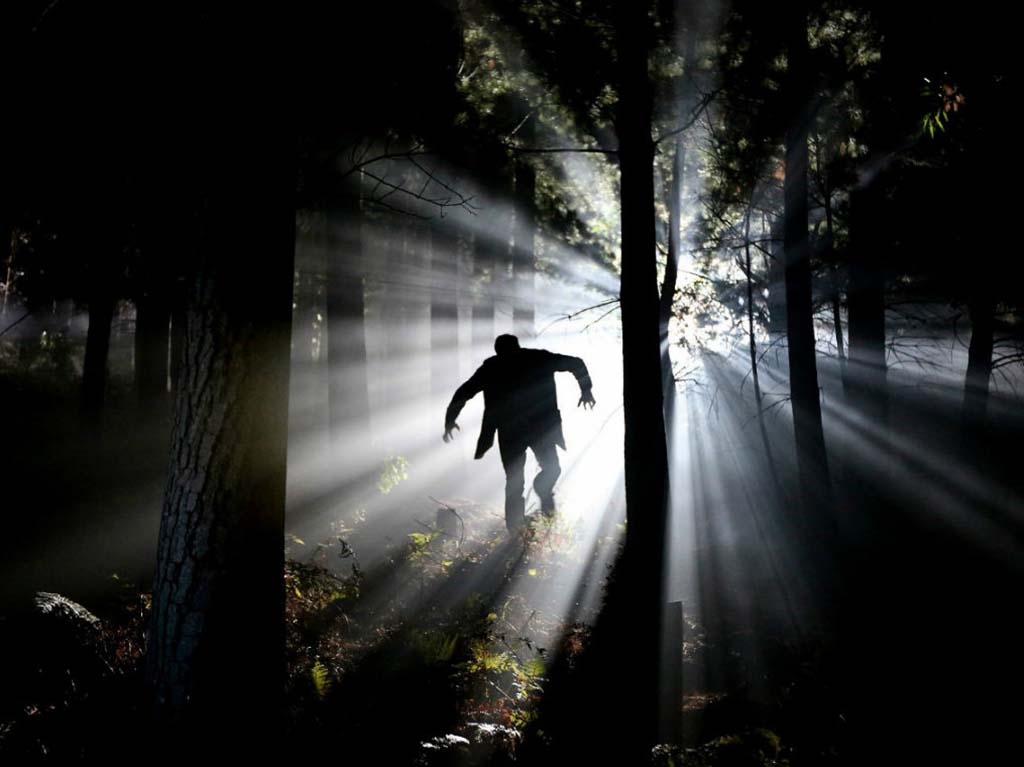 Campamento cinematográfico de horror en Xochimilco