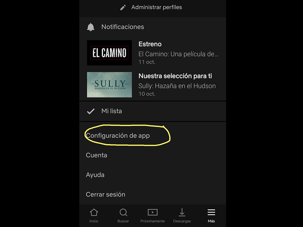 Checa como ahorrar datos cuando veas Netlfix o Amazon en tu celular 1