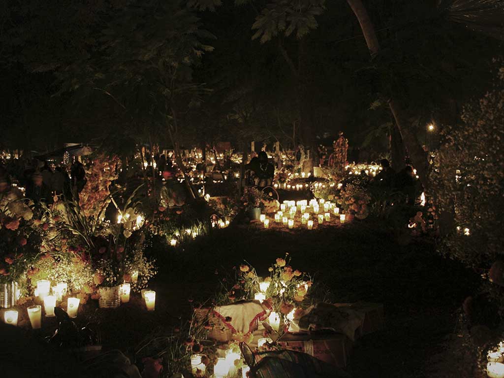 experiencia-bosque-chapultepec