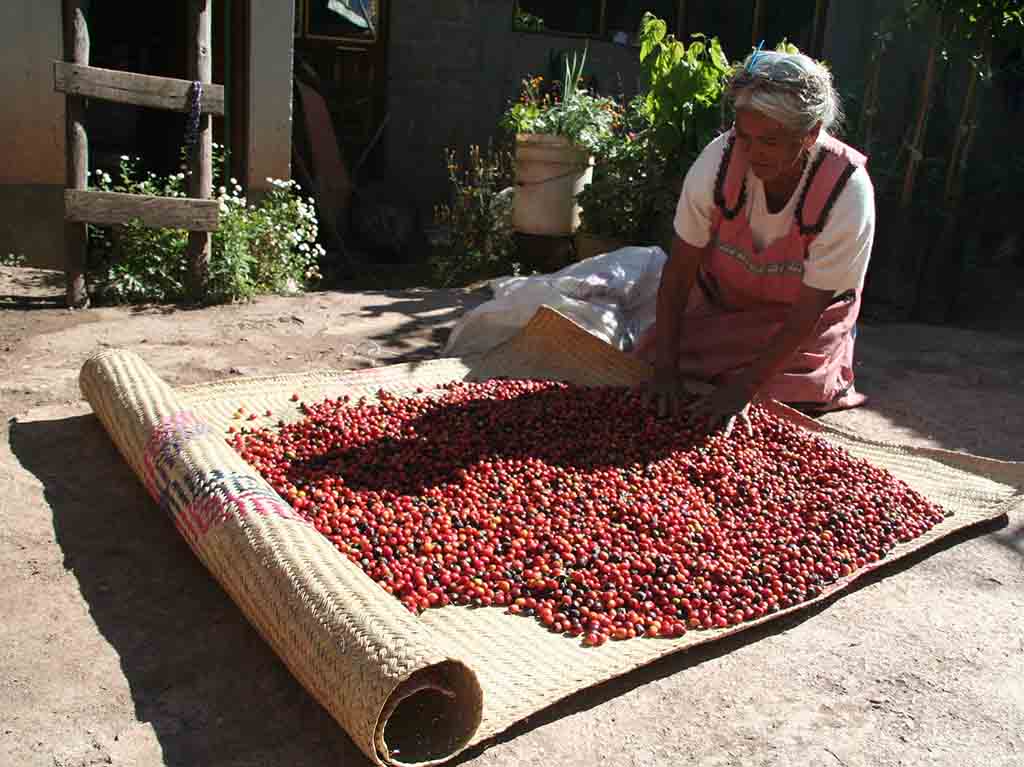 Exposición Chiapas Semana del Café