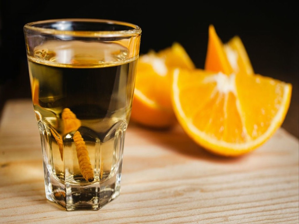 festival-de-mezcal