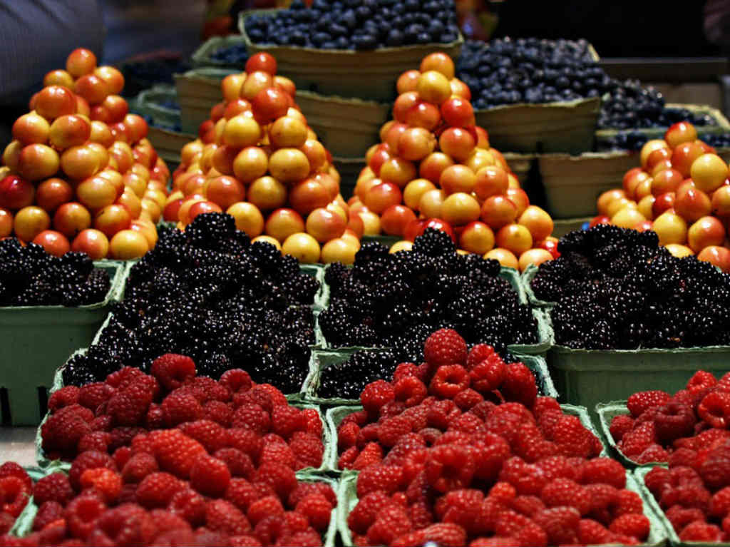 Festival Gastronómico en la Central frutas y verdura