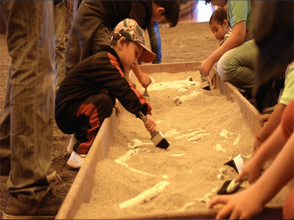 los-niños-podran-desenterrar-fosiles-en-parque-bicentenario
