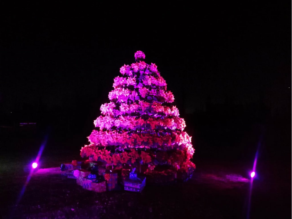 magica-nochebuena-en-xochimilco-arbol-gigante