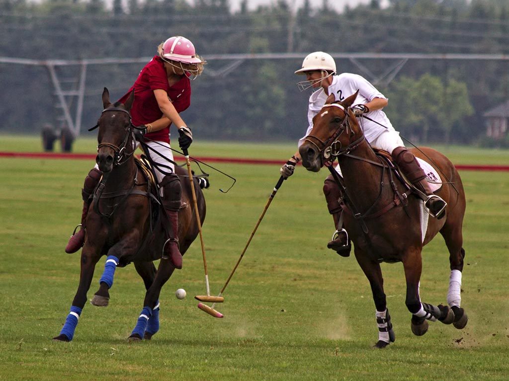 Polo Fest