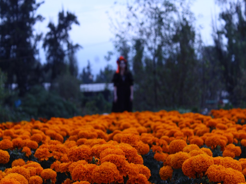 Tour por Xochimilco y la verdadera Isla de las Muñecas