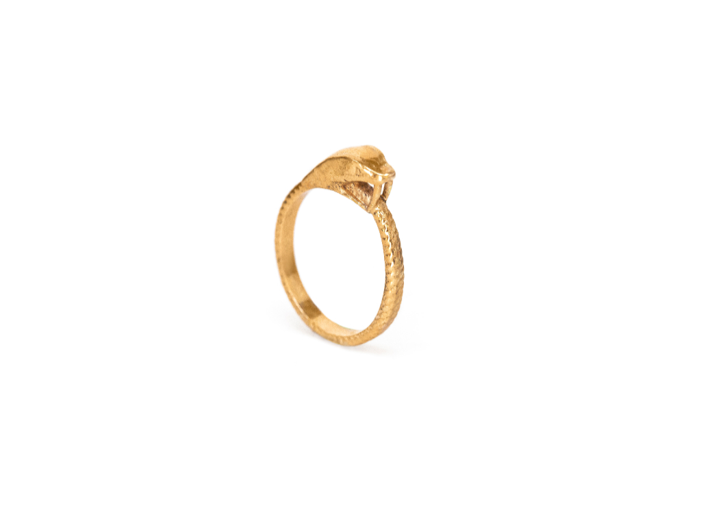 anillo-amazonia-lorena-pestana