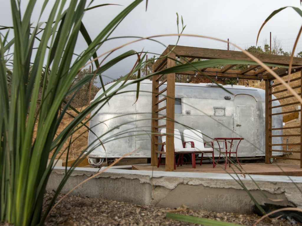 glamping en Valle de Guadalupe plantas