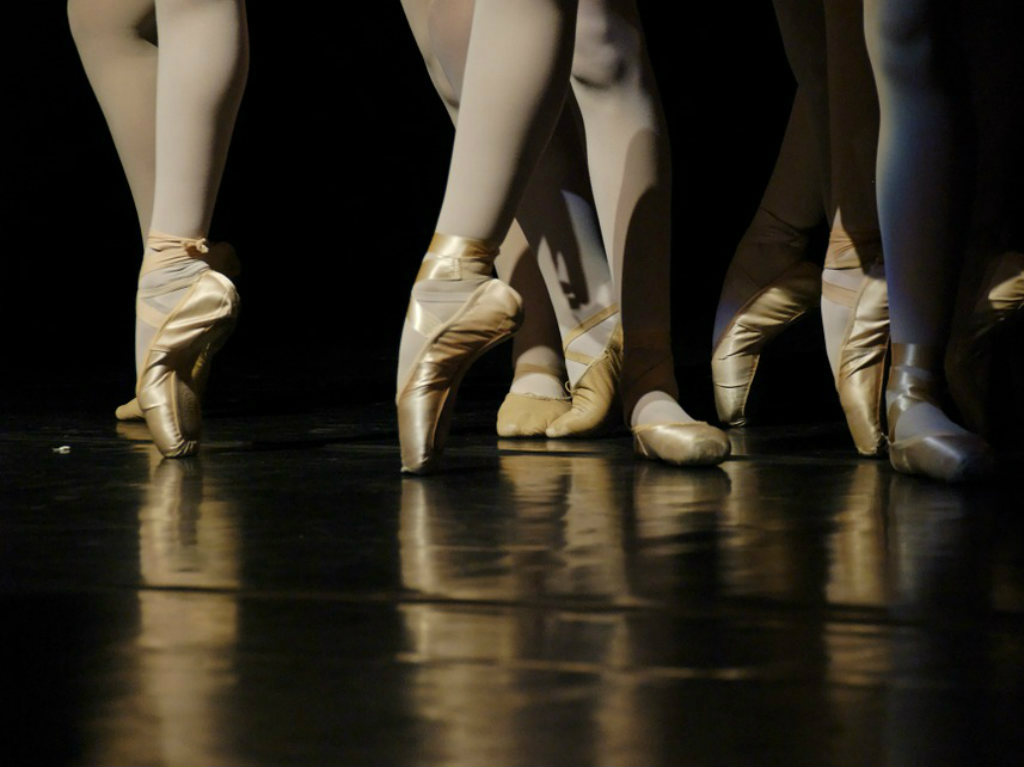 La Bella y la Bestia zapatillas de ballet