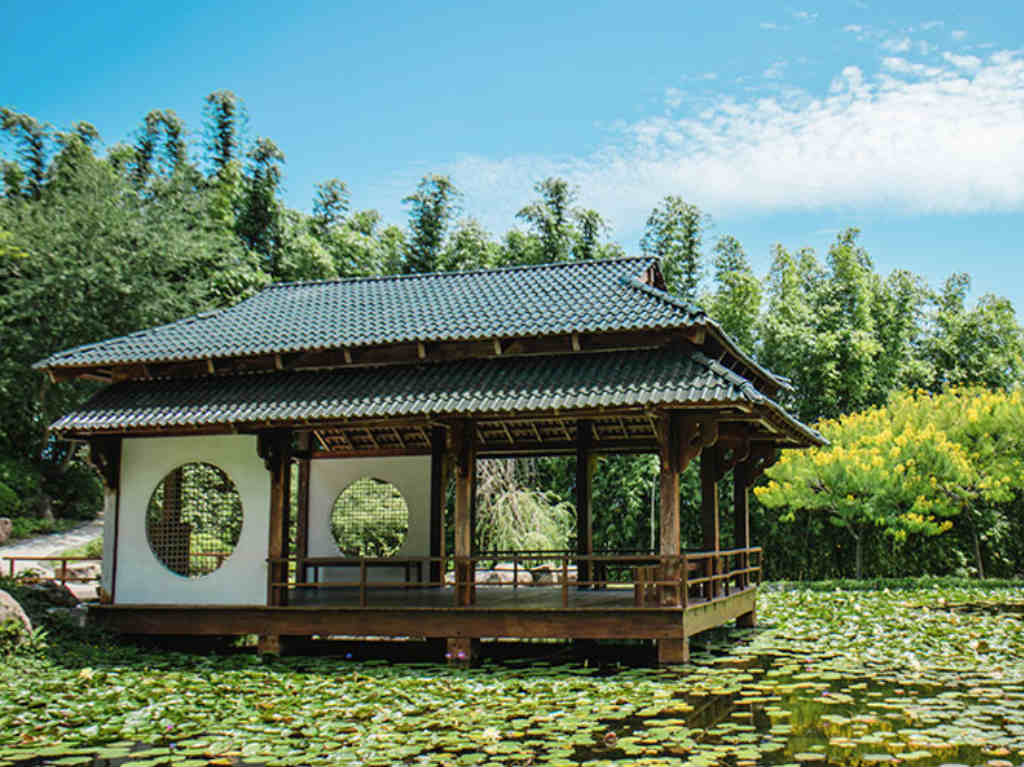 Noche Mágica en Jardines de México japonés