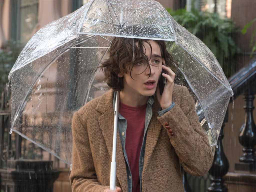 Un día lluvioso en Nueva York, Woody Allen