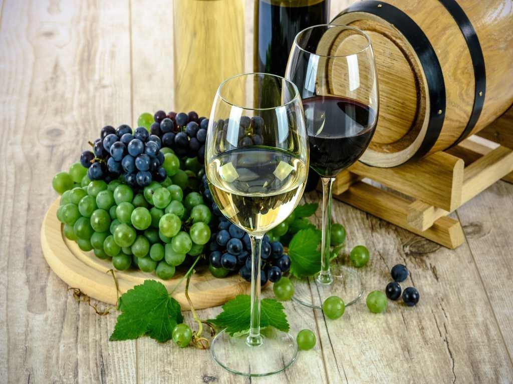 Festival La Vendimia en Nuestra Tierra: ¡habrá catas y pisado de uvas!