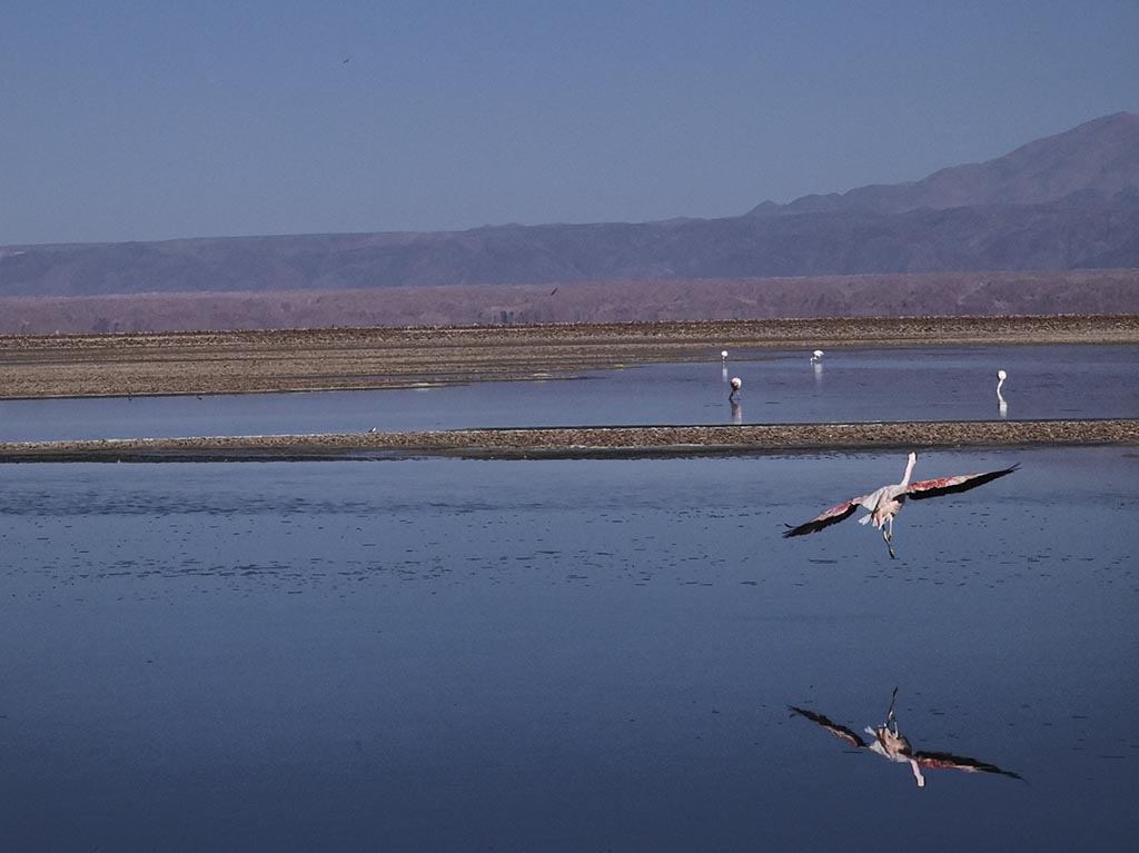 Salar de Atacama