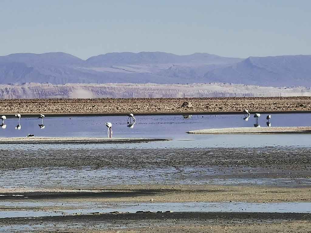 Salar de Atacama