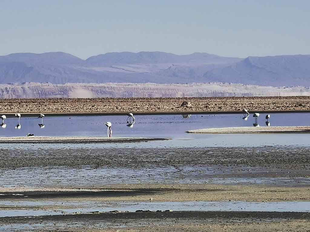 Qué hacer en el Desierto de Atacama: tours, hoteles y más