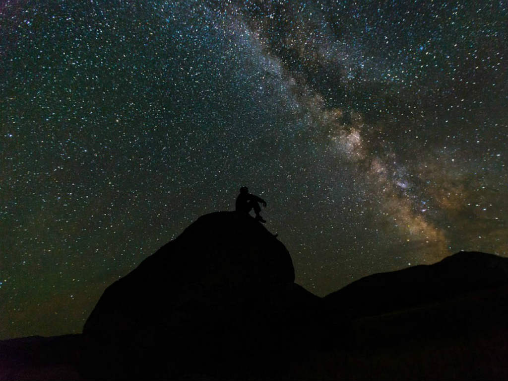 Lluvia de estrellas en el bosque